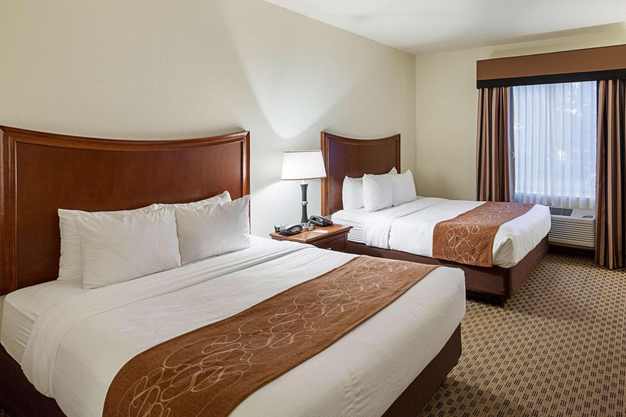 Comfort Suites San Antonio North - Stone Oak Esterno foto